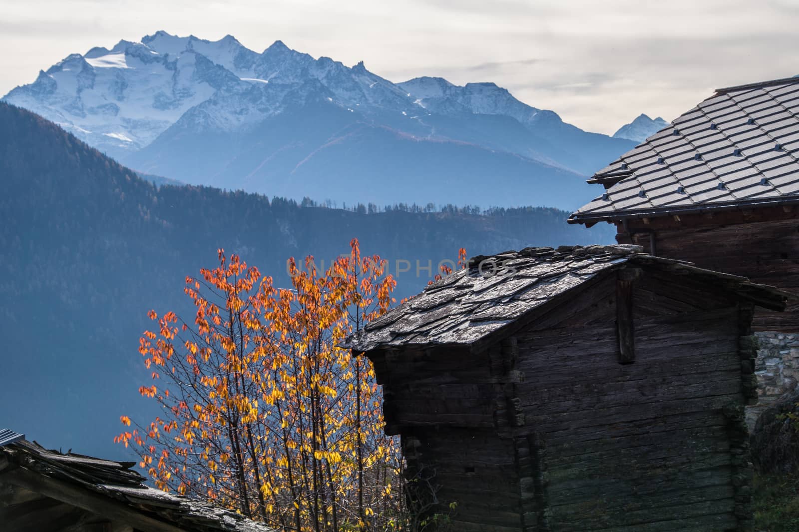 bodma,valais,swiss