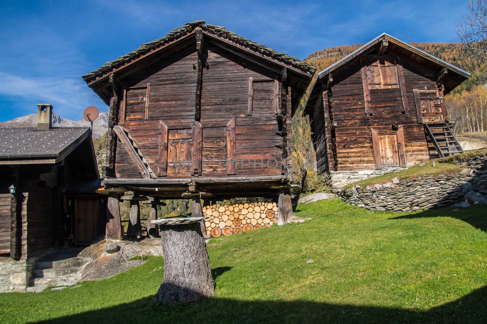 finnen,valais ,swiss