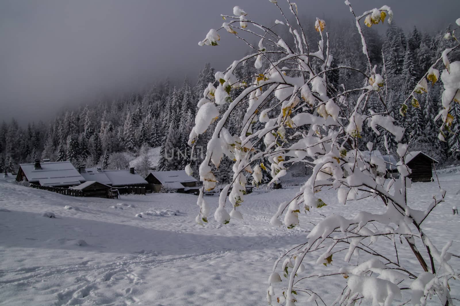 montroc,chamonix,haute savoie,france