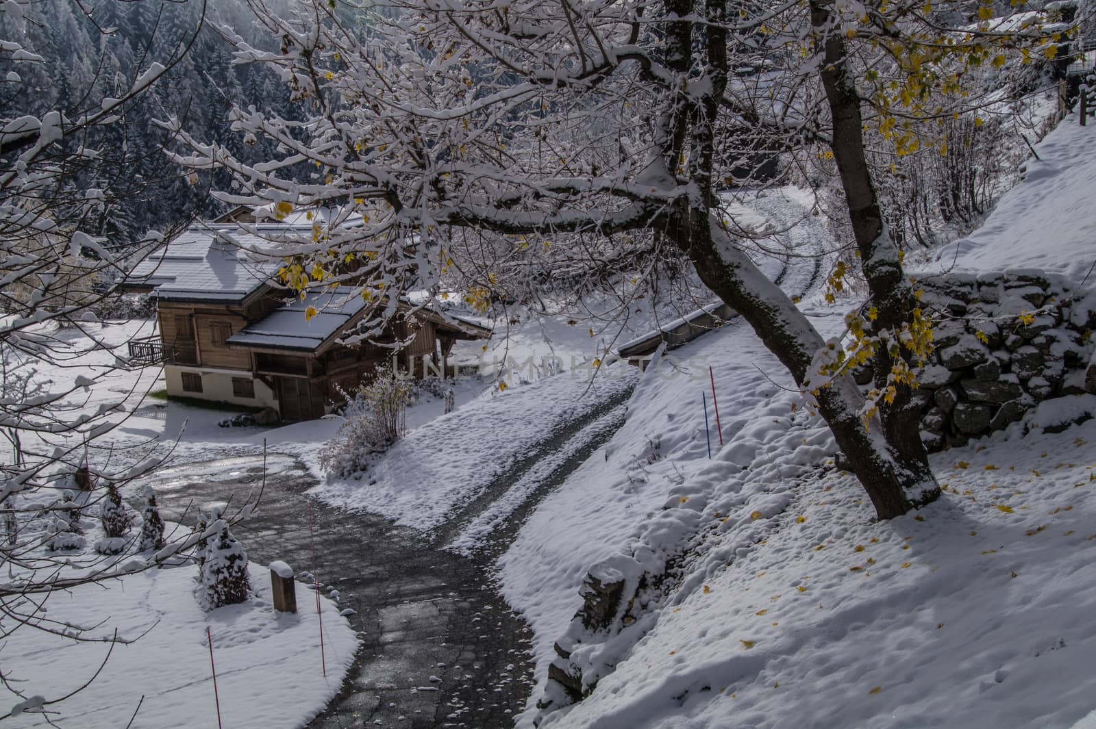 trelechamps,chamonix,haute savoie,france