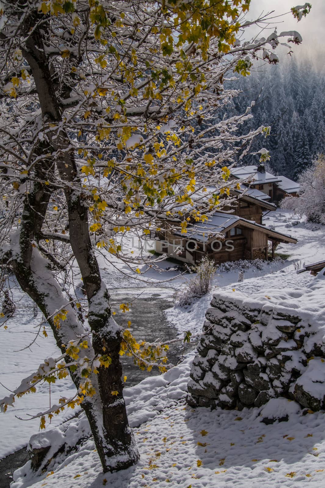 trelechamps,chamonix,haute savoie,france