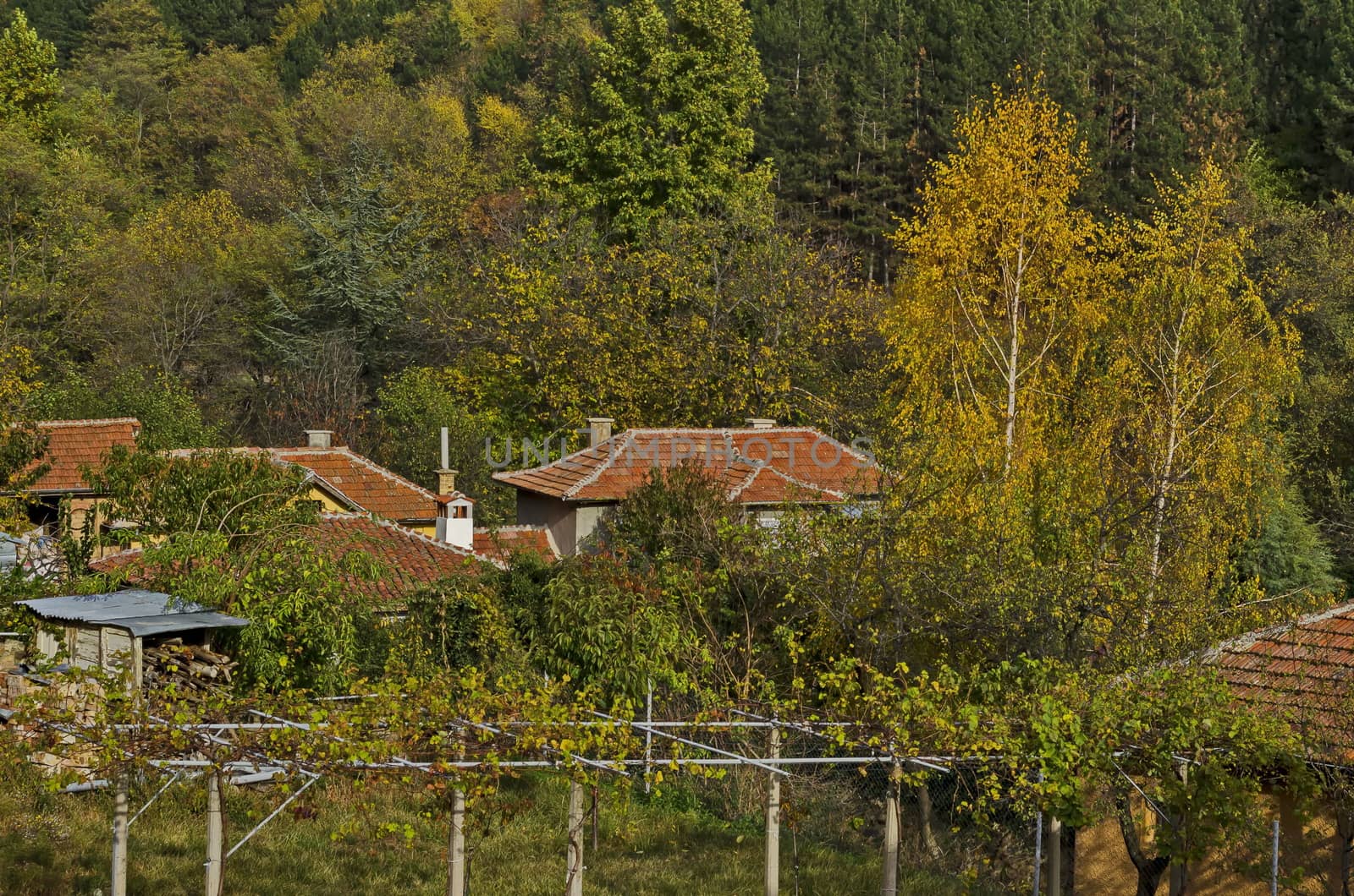 Autumnal colorful forest and houses in the town Maglizh, Balkan mountain, Bulgaria