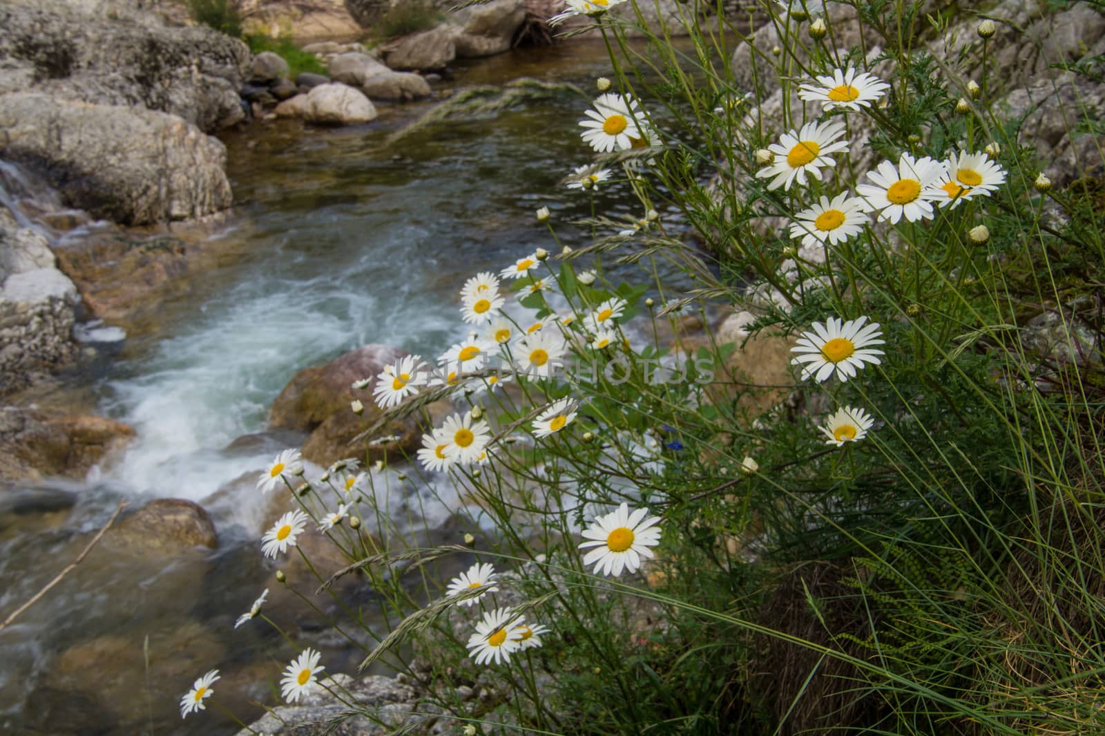 gorgres of baume,ardeche,franche