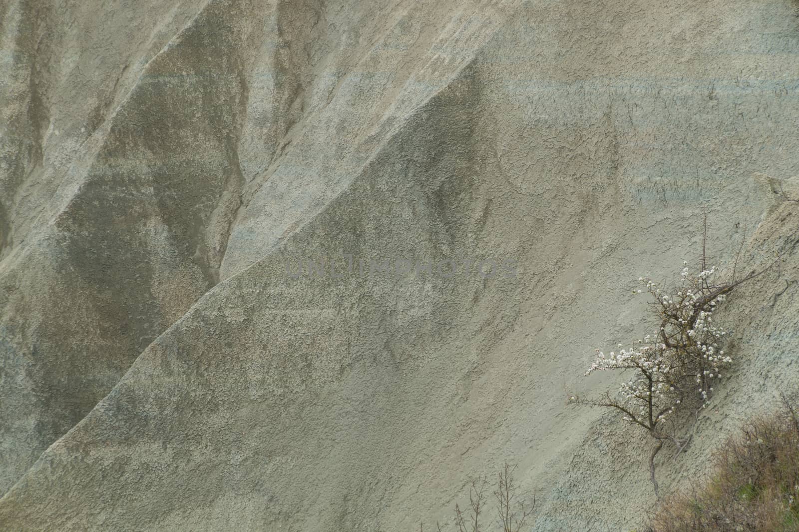 ravine corboeuf,rosieres,haute loire,france