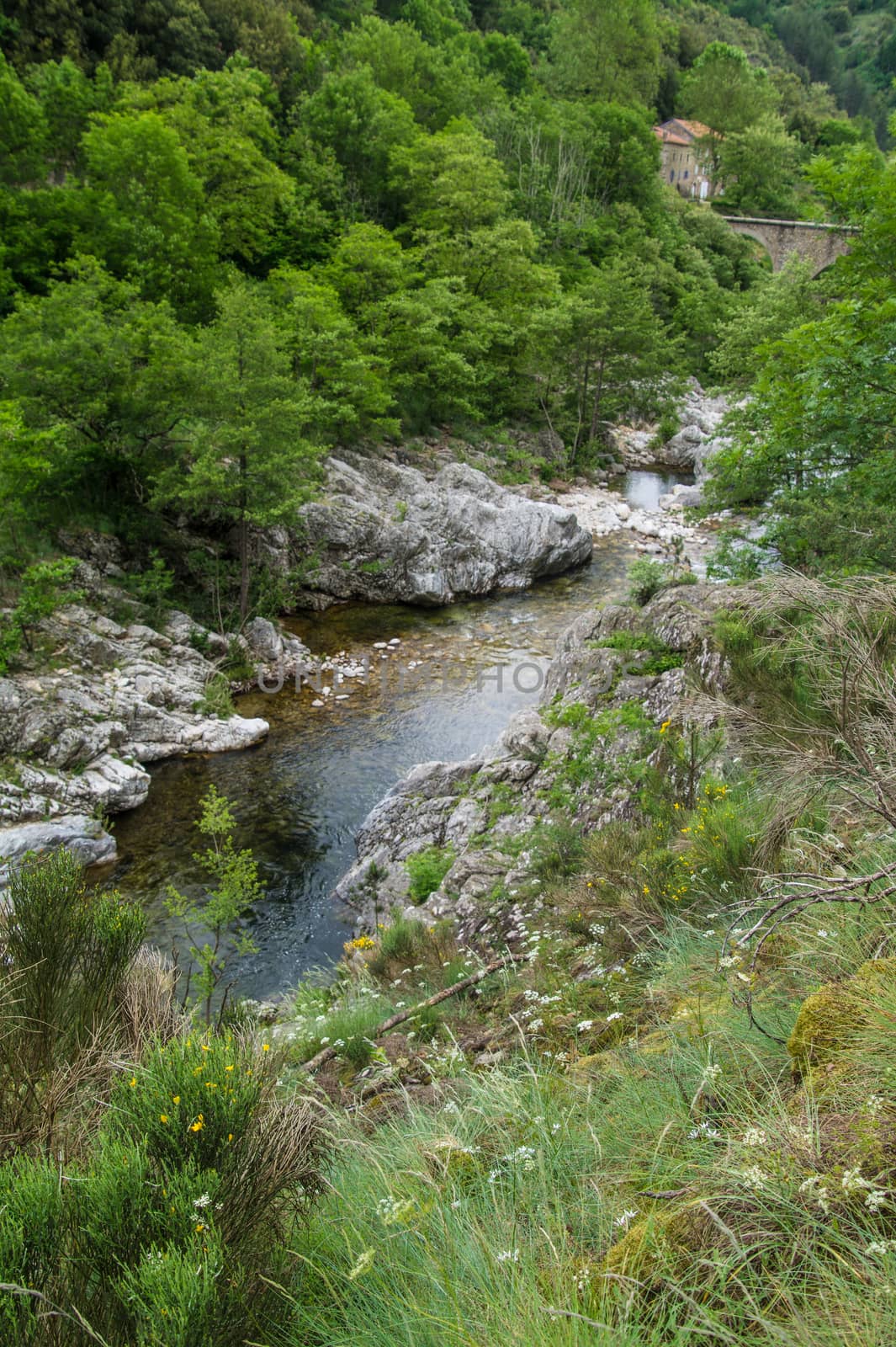 gorges de la baume,ardeche,france by bertrand