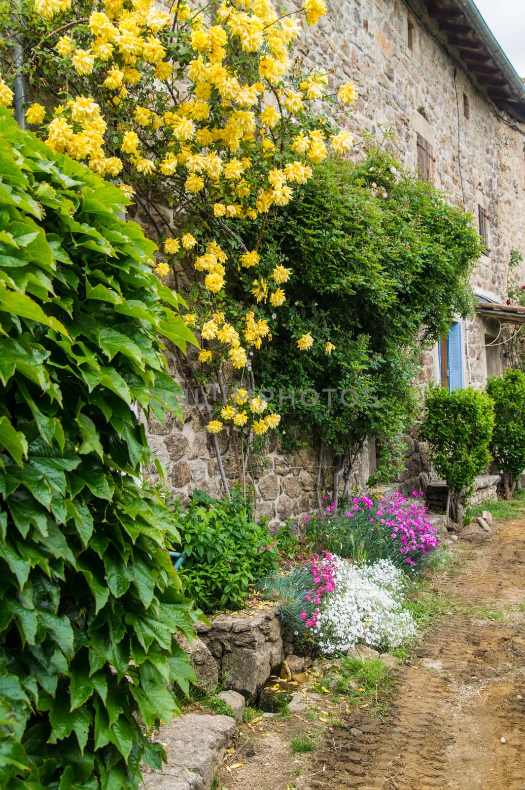 laboule,ardeche,france