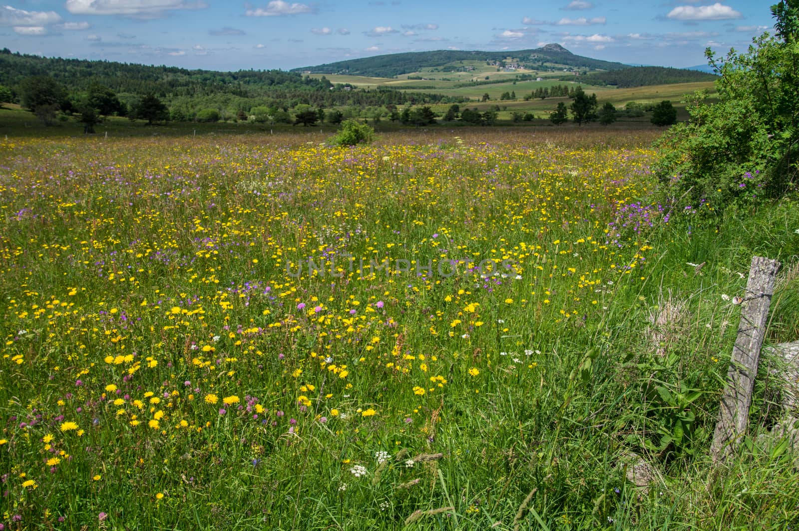 champclause,haute loire,france