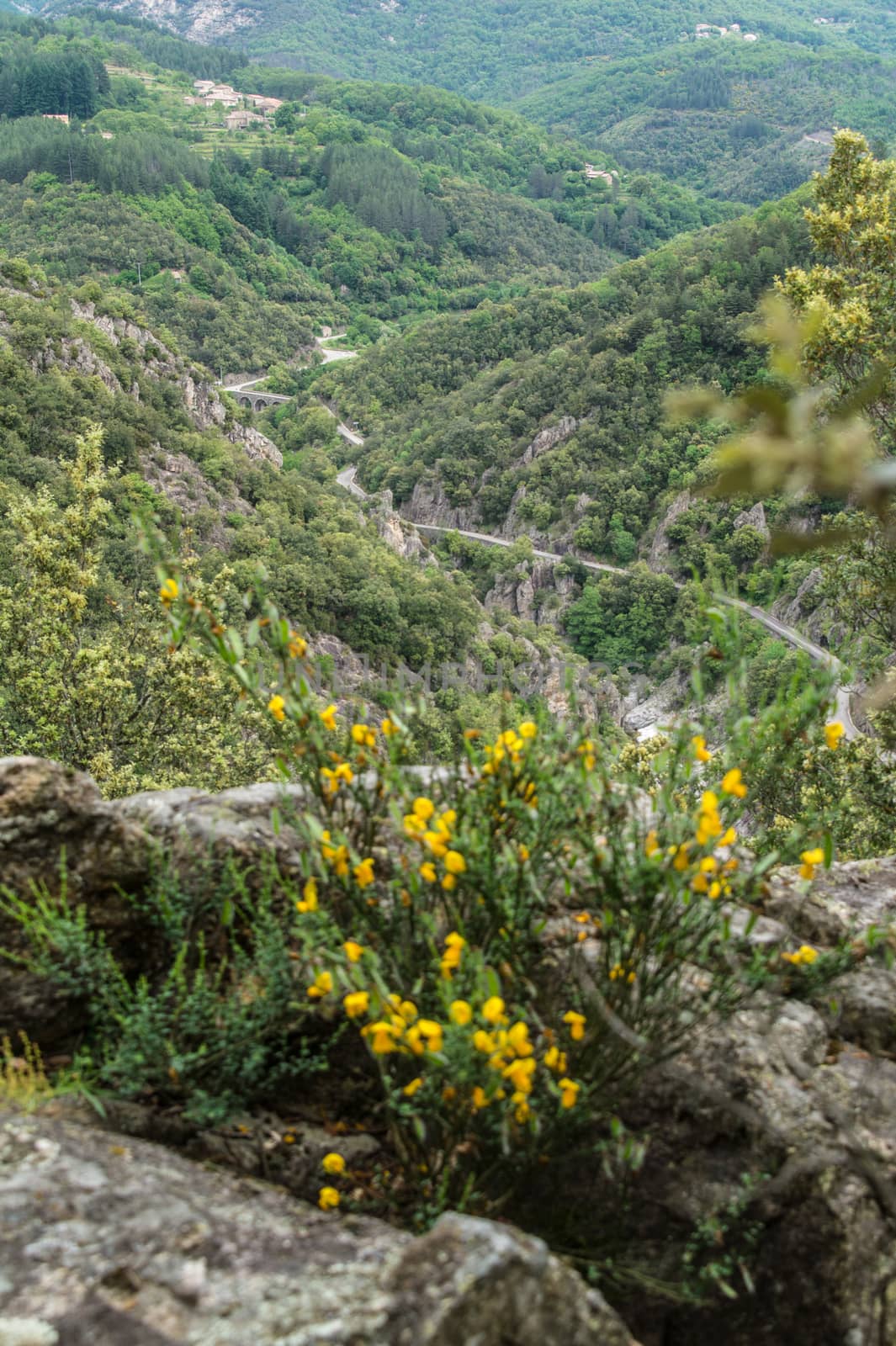 gorges of baume,ardeche,france