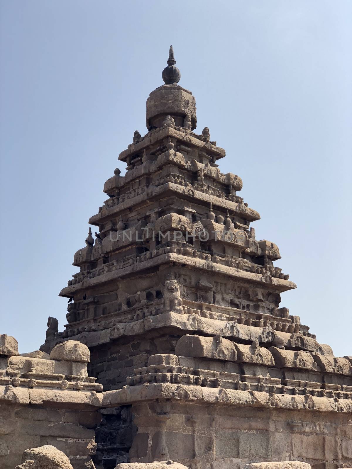 Shore temple is the structural building built with the block of granite at 8th Century AD. It is one of the Group of Monuments at Mahabalipuram and it has been classified as a UNESCO World Heritage Site. Shore temple is the oldest structural rock-cut stone temples of South India and contains complex of temples and shrines. This temple complex is initiated by King  Narasimhavarman II and it is called one of the Seven Pagodas in ancient times.