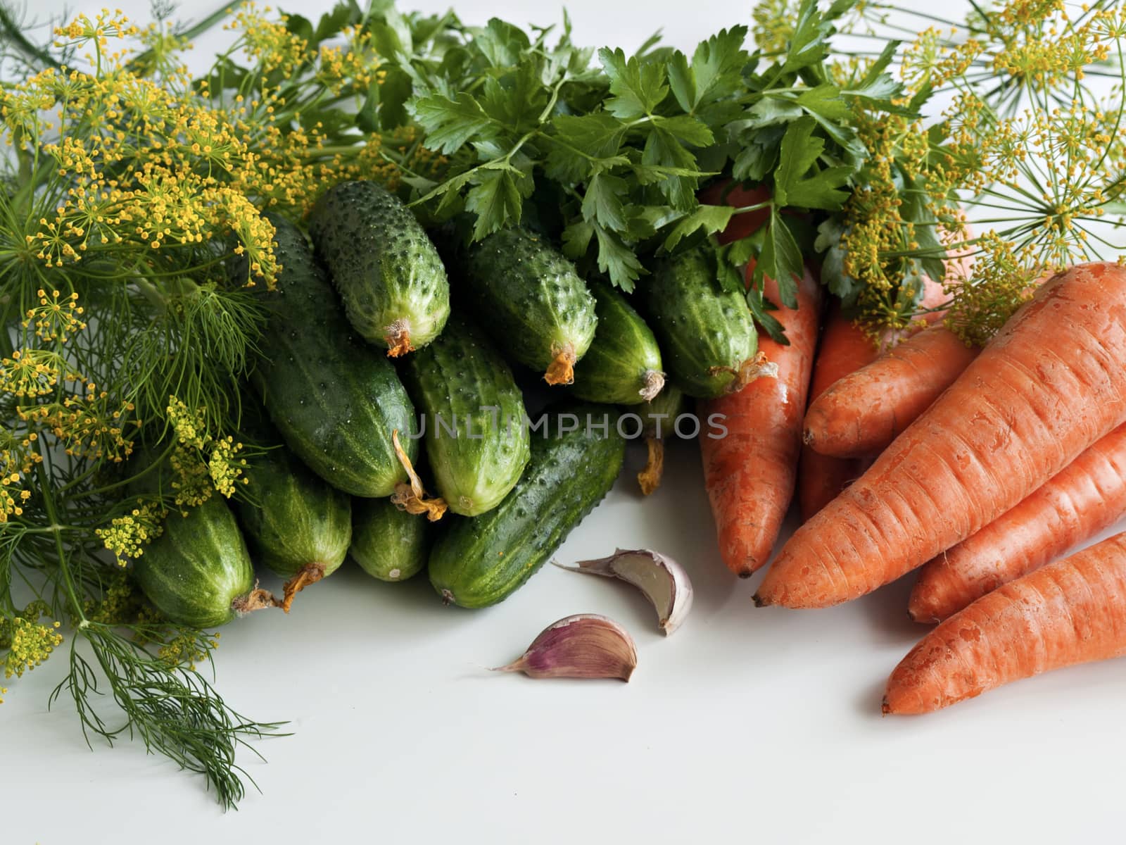 Vegetables of summer harvest,  cucumbers, carrots, garlic, dill, parsley, dill inflorescences lie on a white background on a table