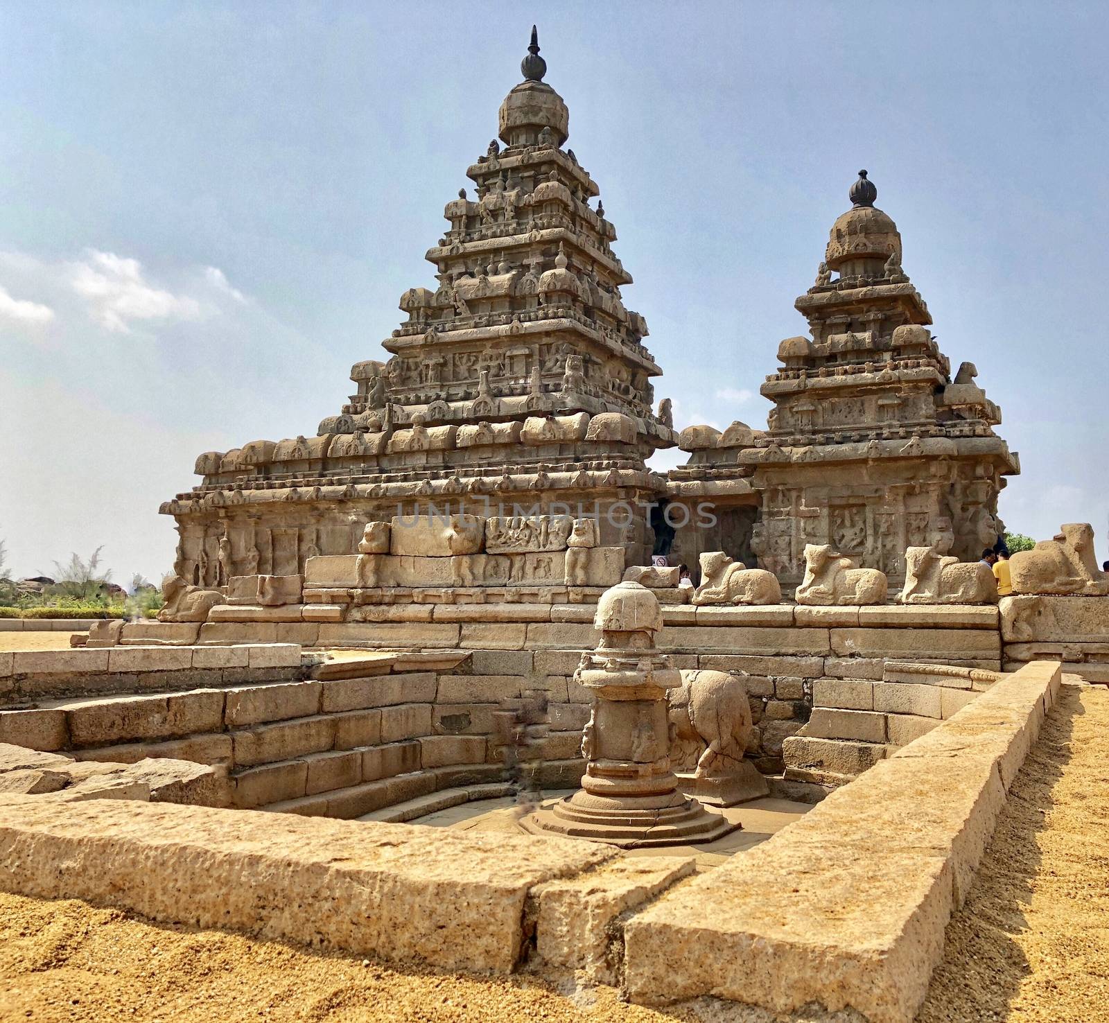 Shore temple is the structural building built with the block of granite at 8th Century AD. It is one of the Group of Monuments at Mahabalipuram and it has been classified as a UNESCO World Heritage Site. Shore temple is the oldest structural rock-cut stone temples of South India and contains complex of temples and shrines. This temple complex is initiated by King  Narasimhavarman II and it is called one of the Seven Pagodas in ancient times.
