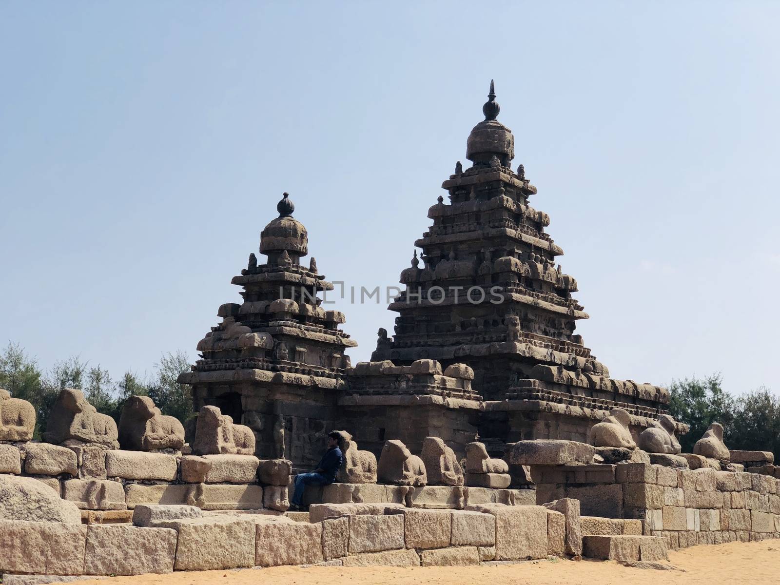 Shore temple is the structural building built with the block of granite at 8th Century AD. It is one of the Group of Monuments at Mahabalipuram and it has been classified as a UNESCO World Heritage Site. Shore temple is the oldest structural rock-cut stone temples of South India and contains complex of temples and shrines. This temple complex is initiated by King  Narasimhavarman II and it is called one of the Seven Pagodas in ancient times.