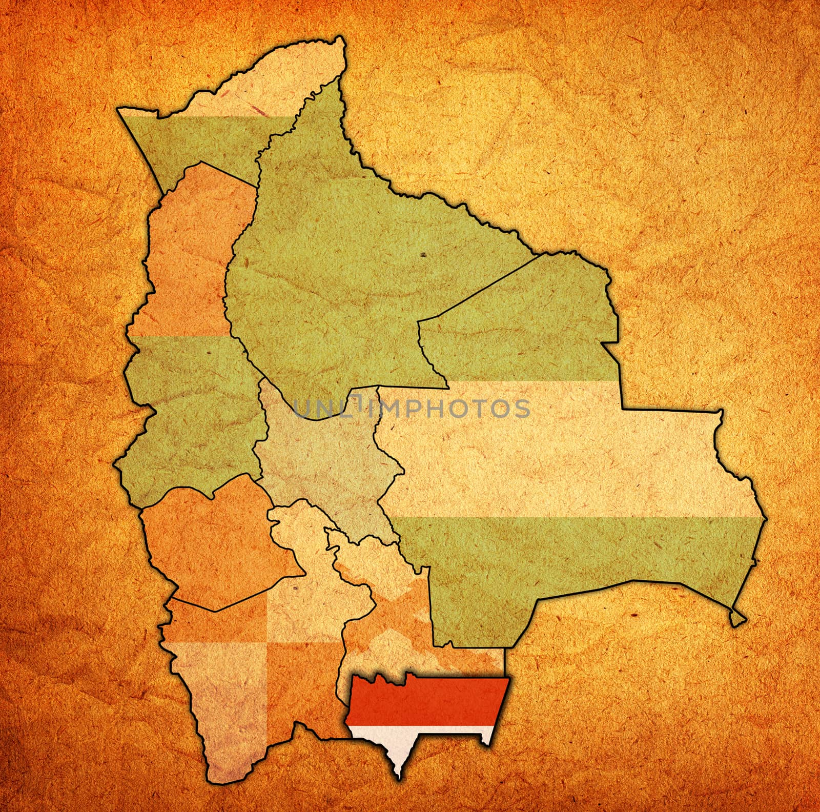 territory of Tarija region on administration map of Bolivia by michal812