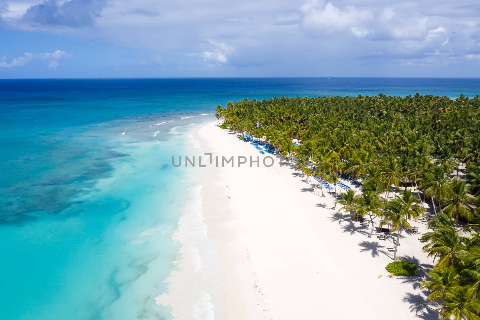 Aerial view on tropical island with coconut palm trees and turquoise caribbean sea 
