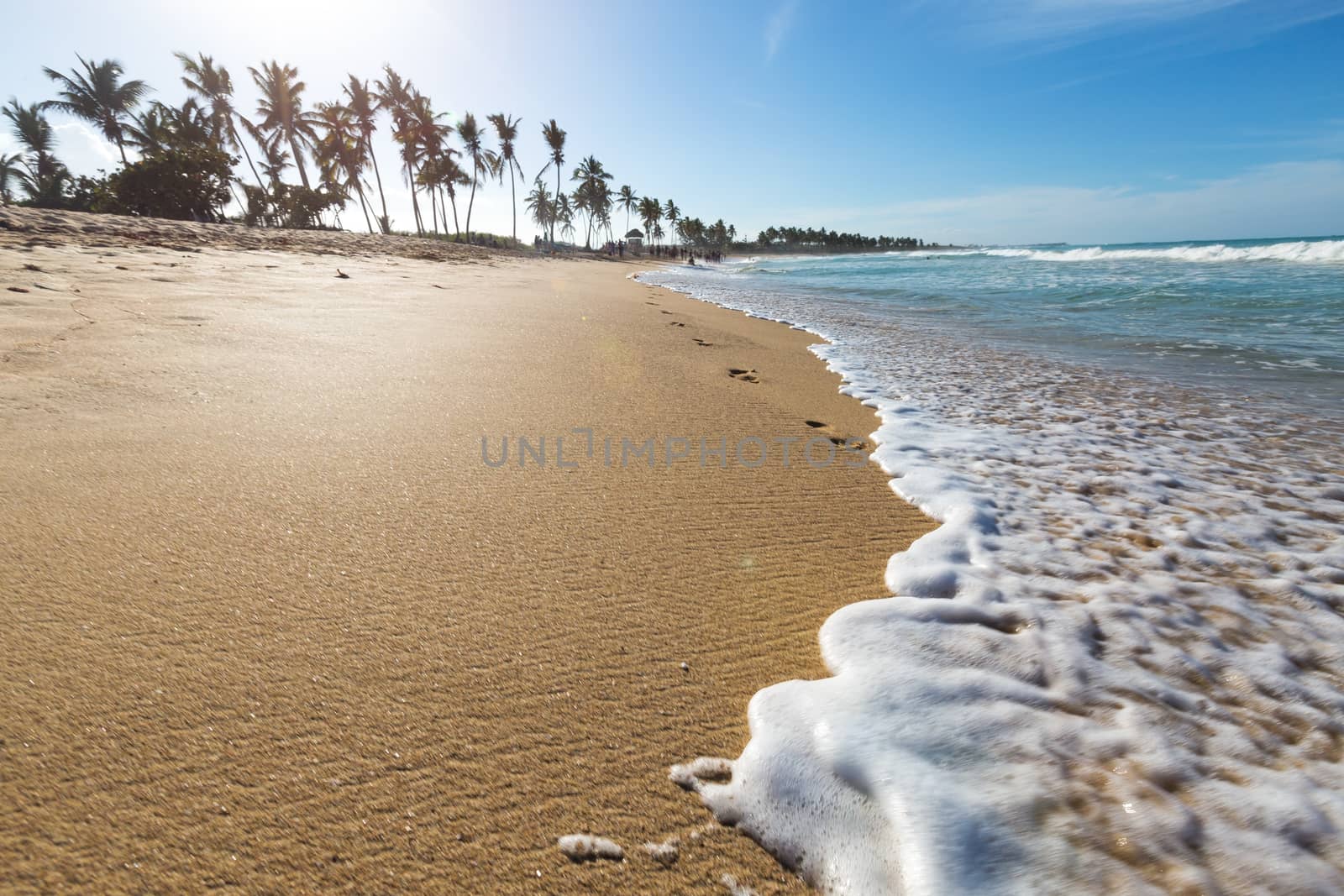 Wild caribbean beach of Atlantic ocean with waves, travel destinations card with copy space for text