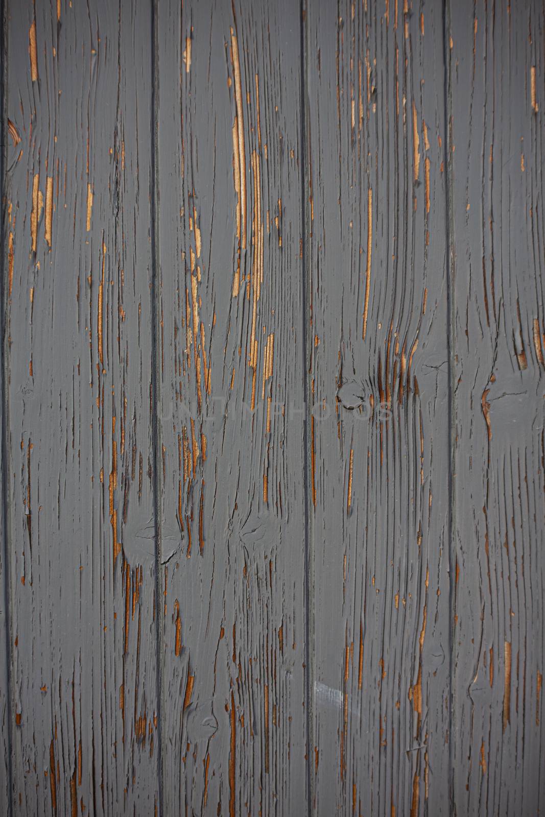 Wood texture with peeling paint by pippocarlot
