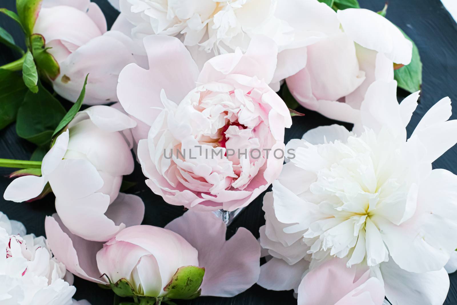 Blooming peony flowers as floral art background, botanical flatlay and luxury branding by Anneleven