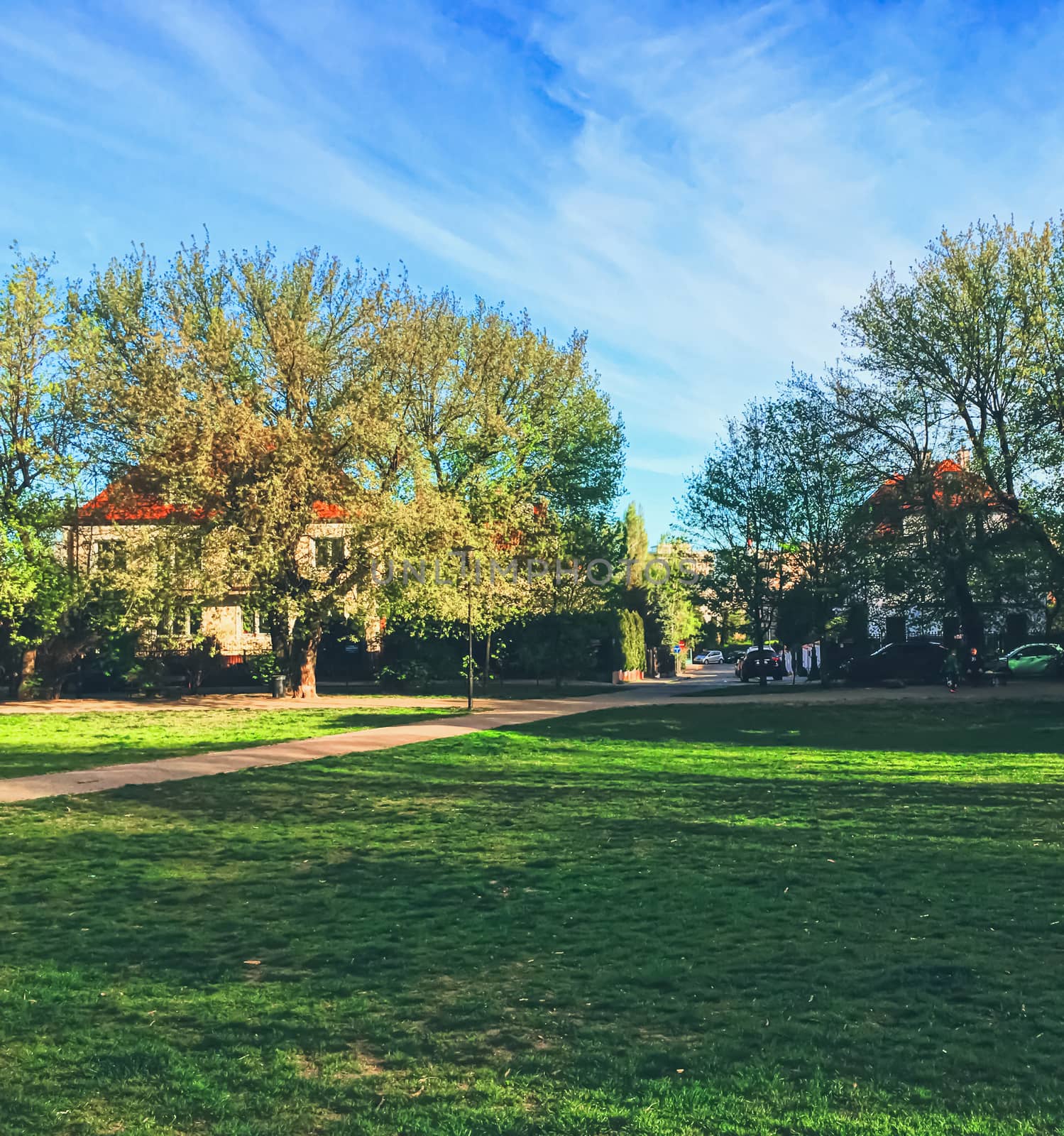 Blooming trees in spring in a city park by Anneleven