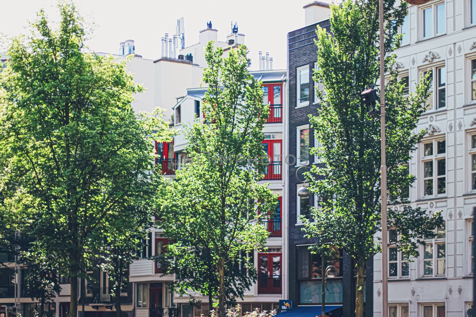 Main downtown street in the city center of Amsterdam in Netherlands on sunny day