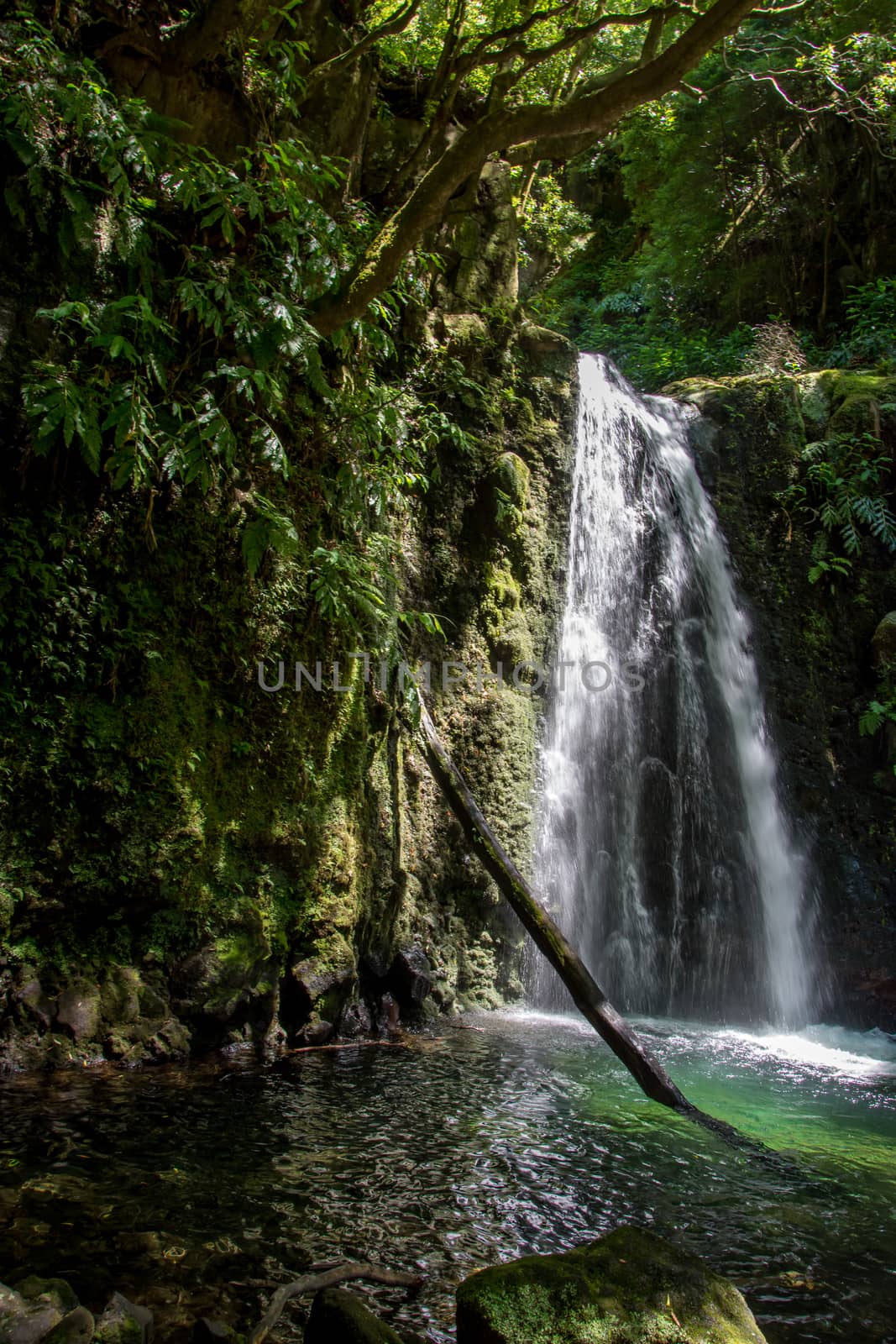 walk and discover the prego salto waterfall on the island of sao miguel, azores, Portugal.
