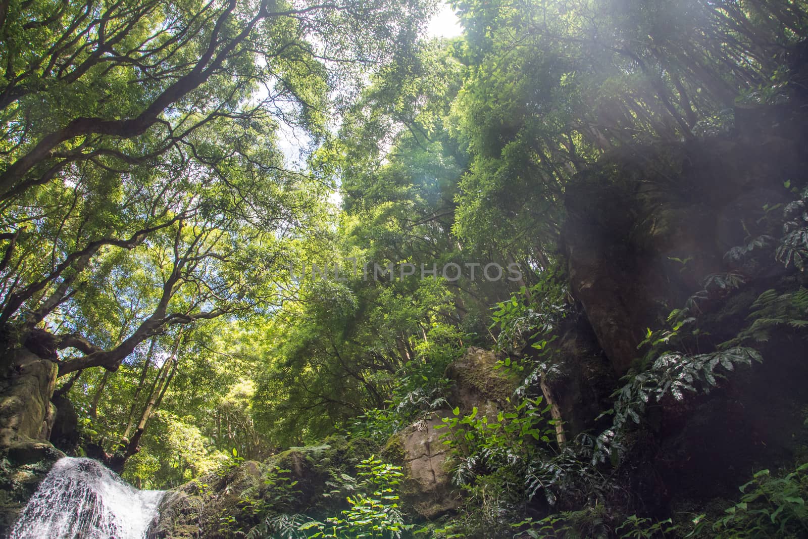 walk and discover the prego salto waterfall on the island of sao miguel, azores, Portugal.