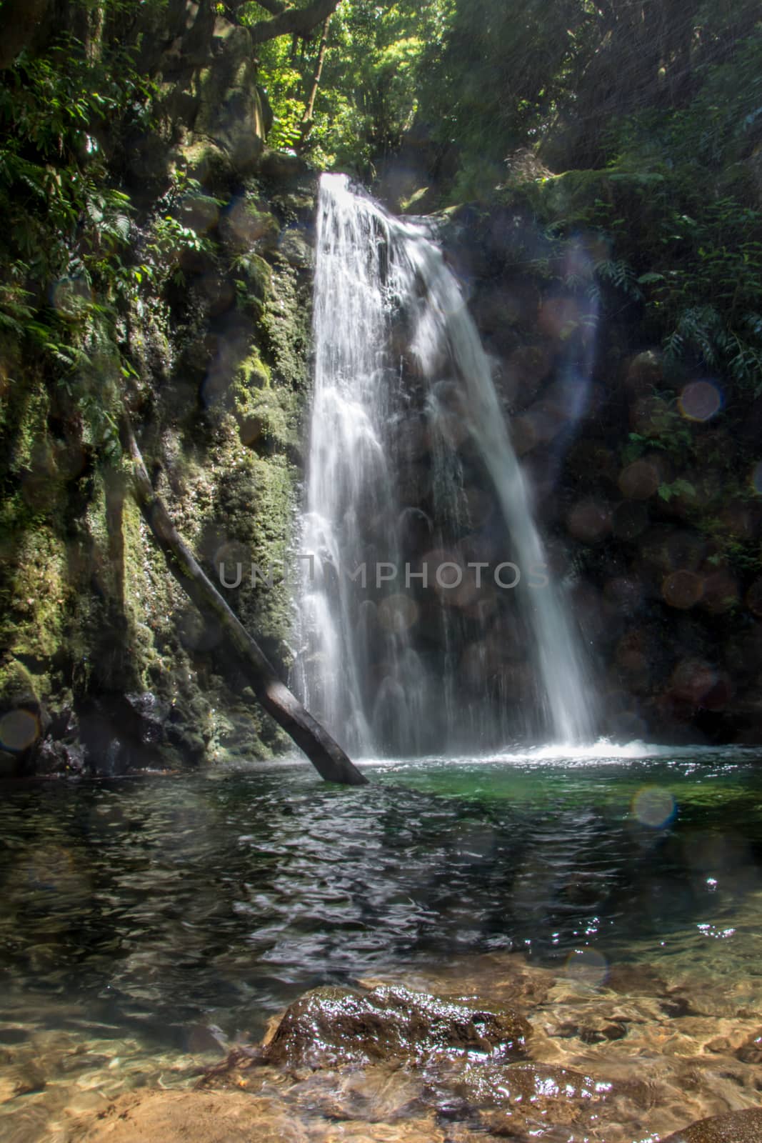 walk and discover the prego salto waterfall on the island of sao miguel, azores, Portugal.