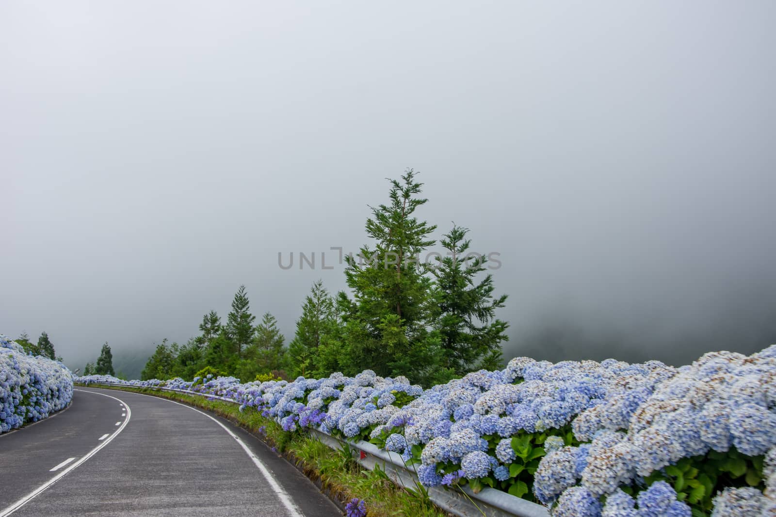 Walk on the Azores archipelago. Discovery of the island of Sao Miguel, Azores. Portugal