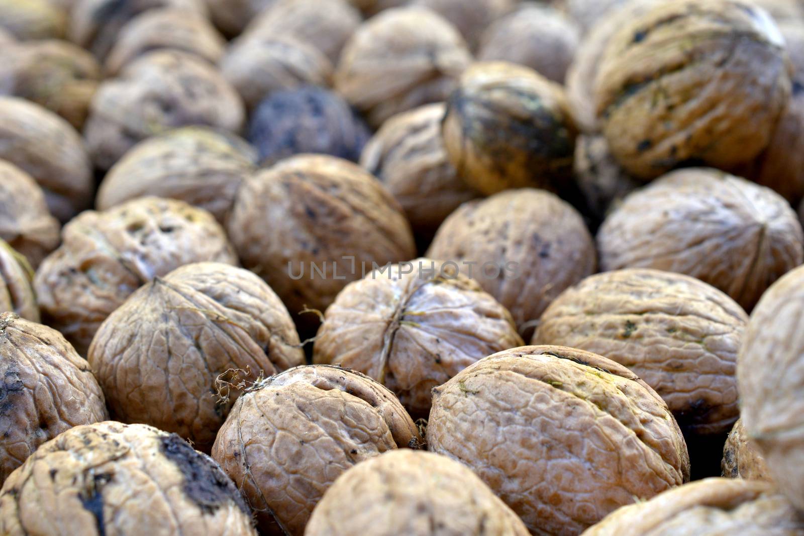 image of organic nuts, autumn concept image