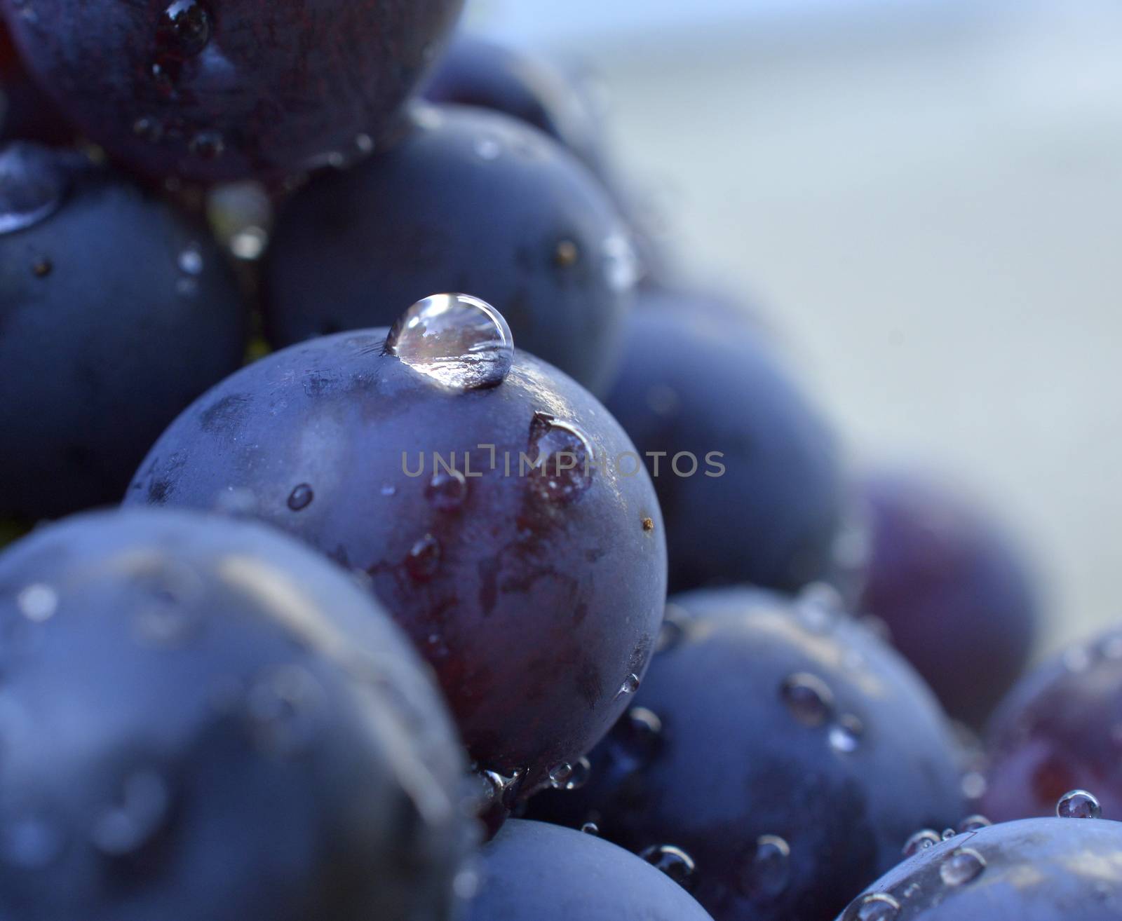 water drops on a red grape image