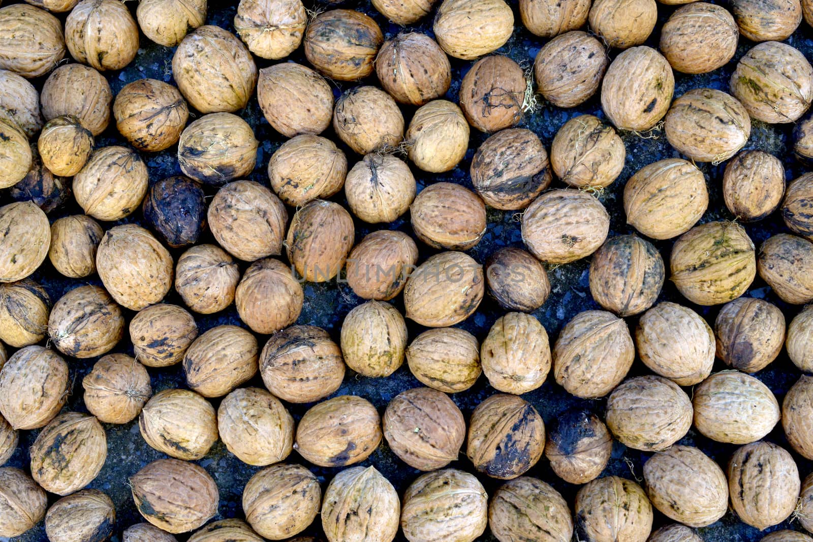 image of organic nuts, autumn concept image