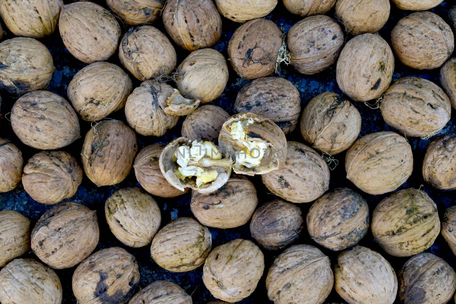 image of organic nuts, autumn concept by nehru