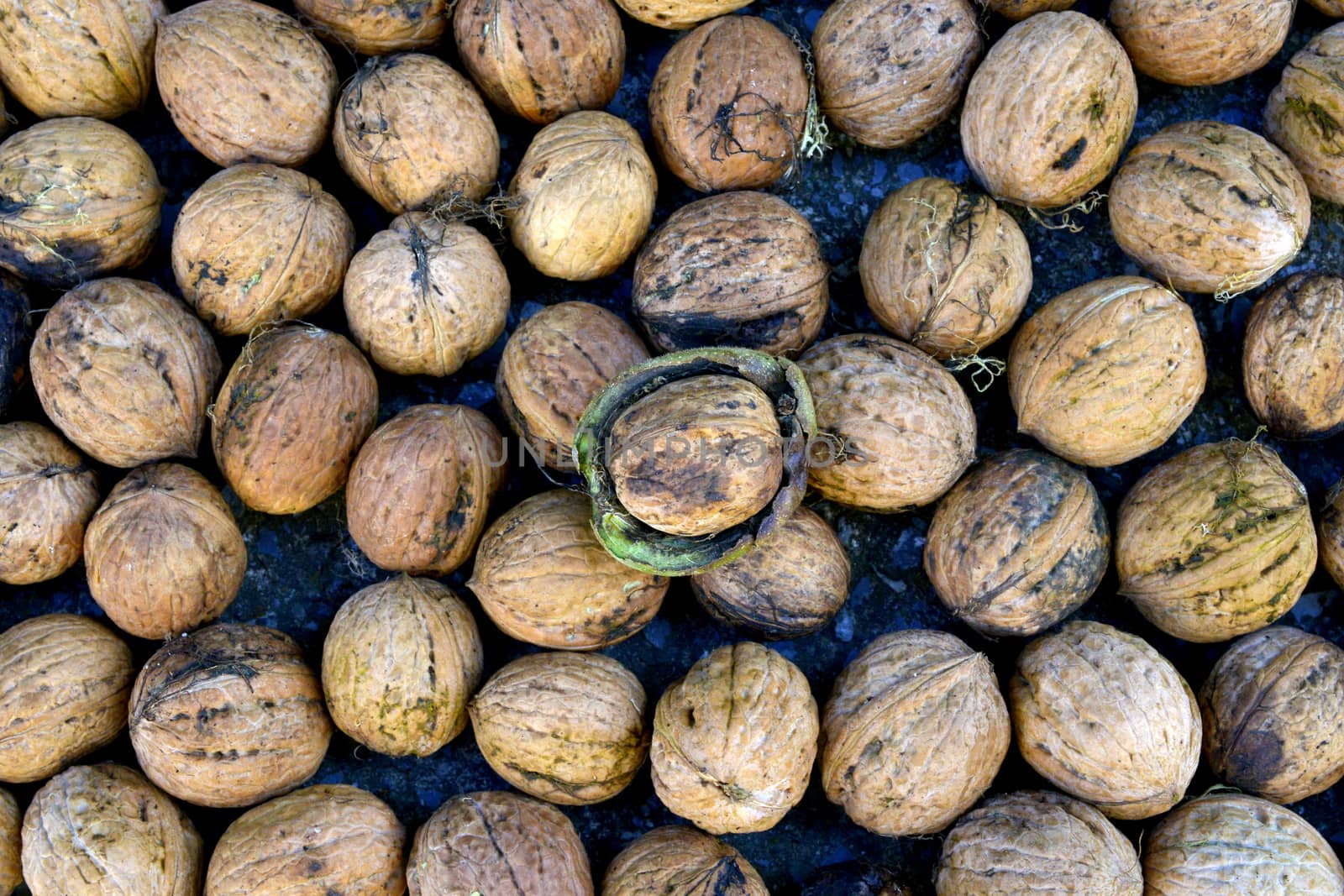 image of organic nuts, autumn concept by nehru