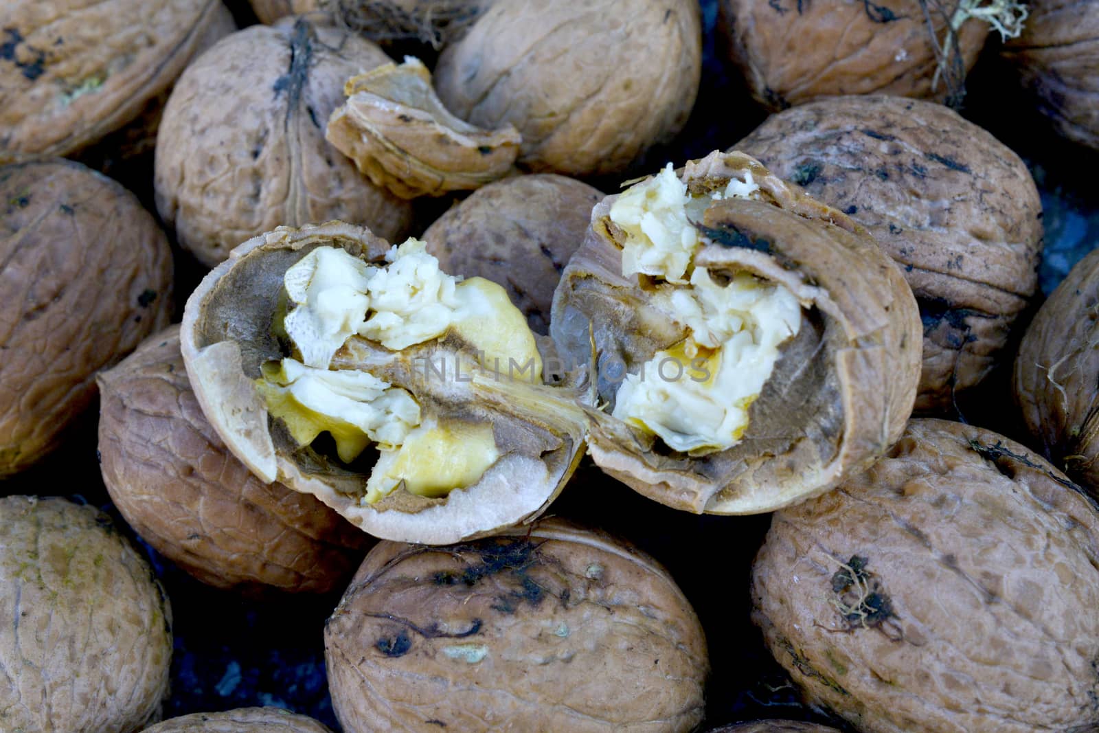 image of organic nuts, autumn concept image