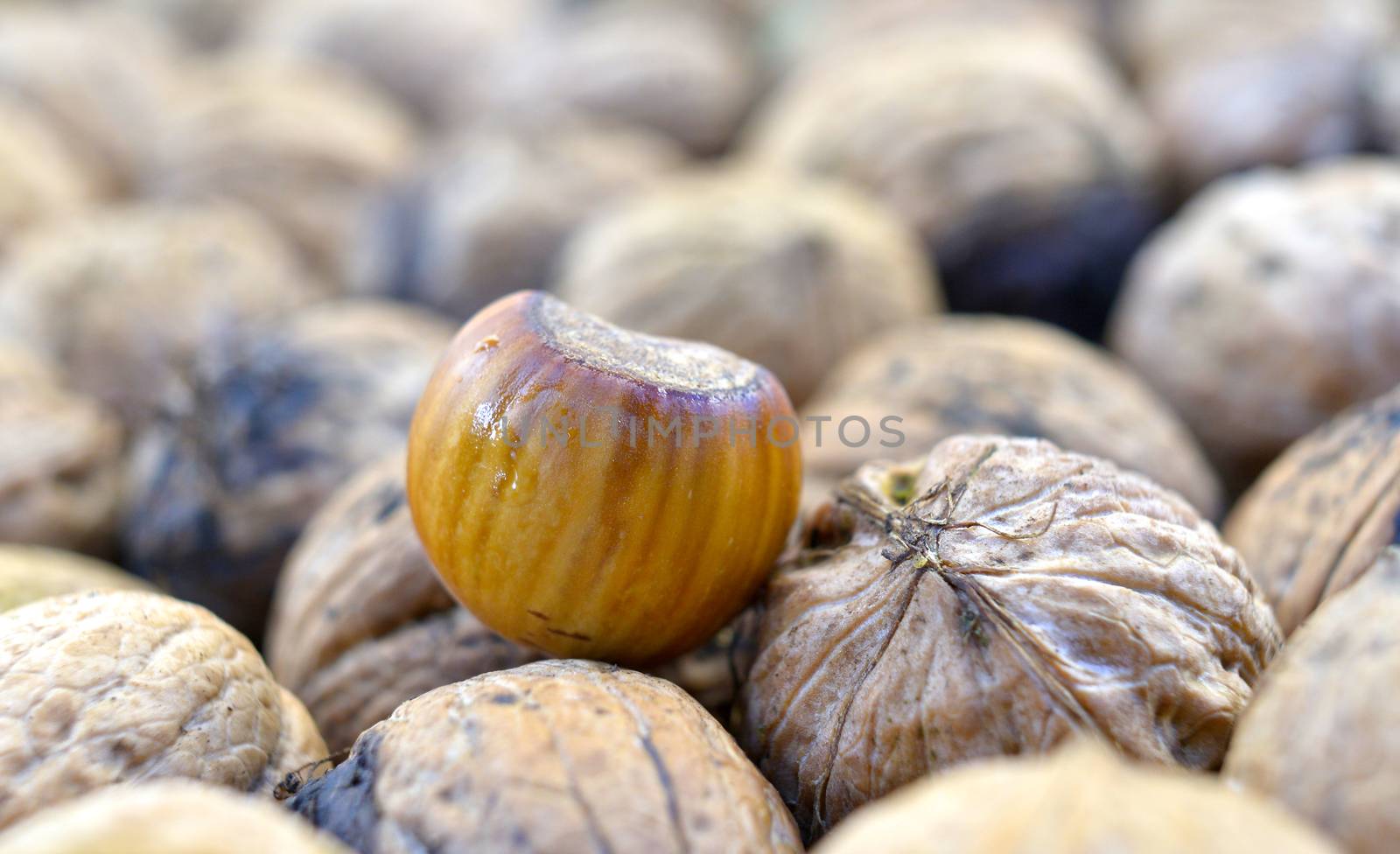 image of raw organic nuts,image of a