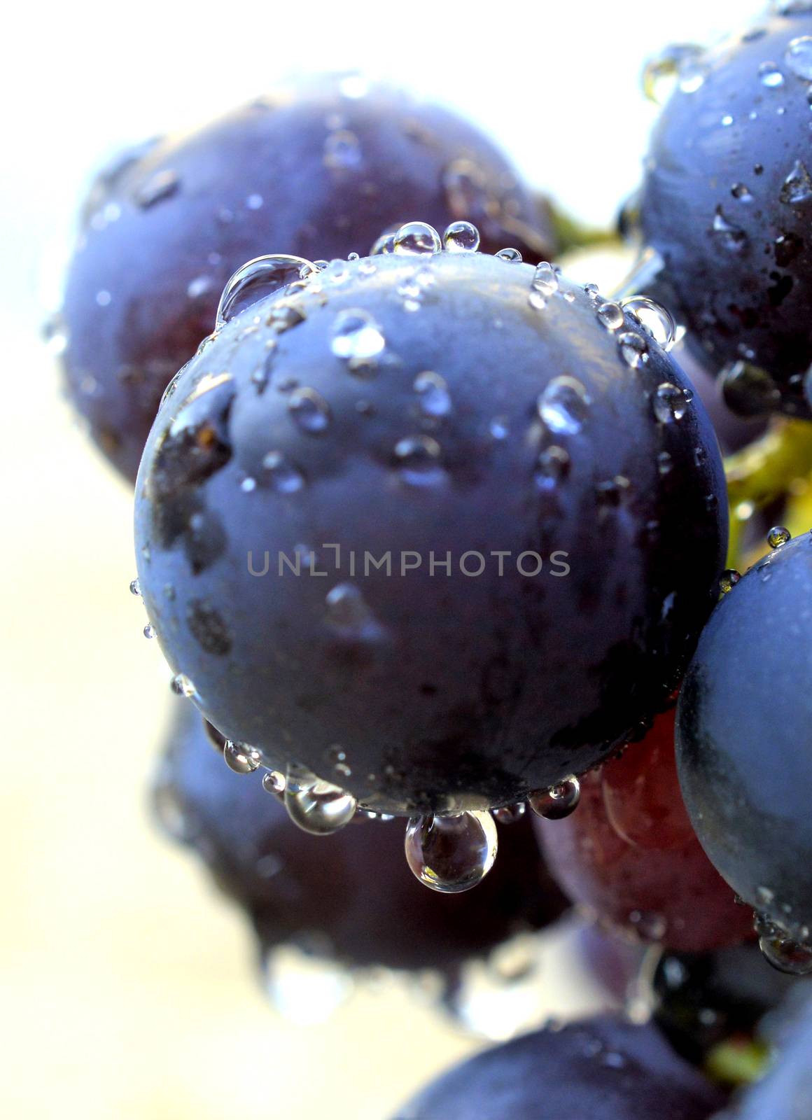 water drops on a red grape by nehru