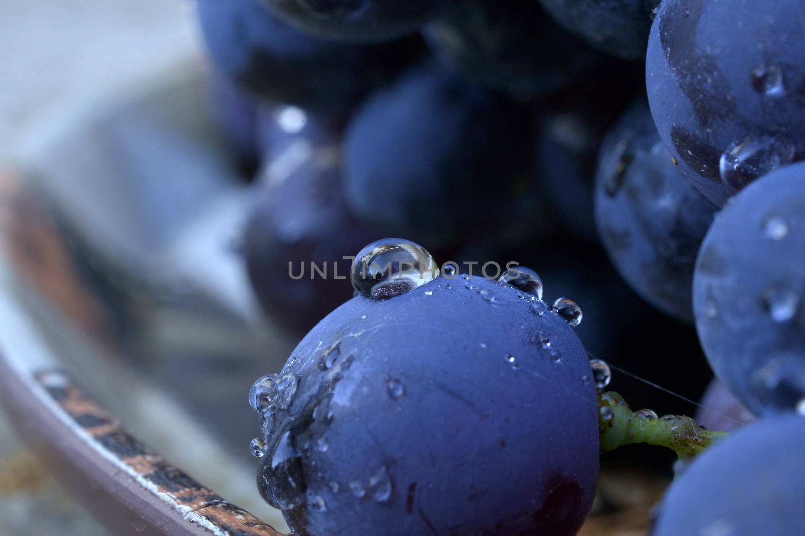 water drops on a red grape by nehru