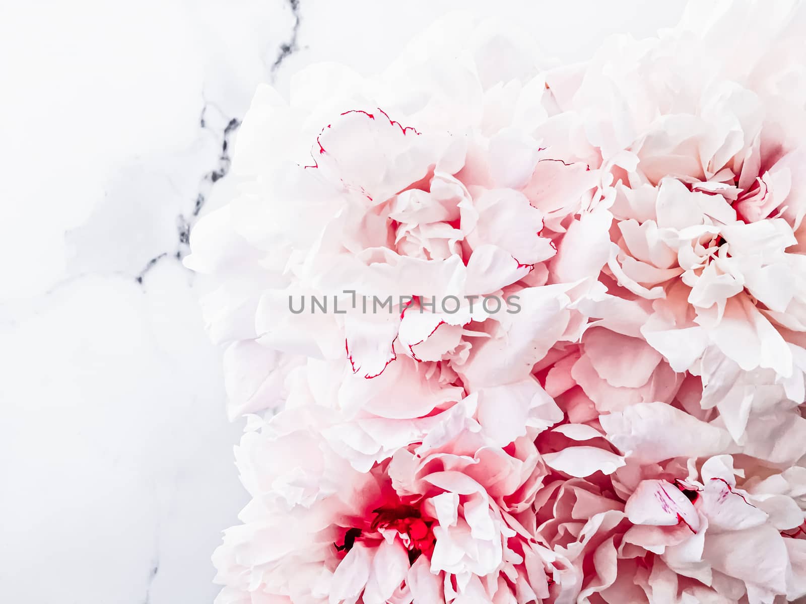 Bouquet of peony flowers on luxury marble background, wedding flatlay and event branding by Anneleven