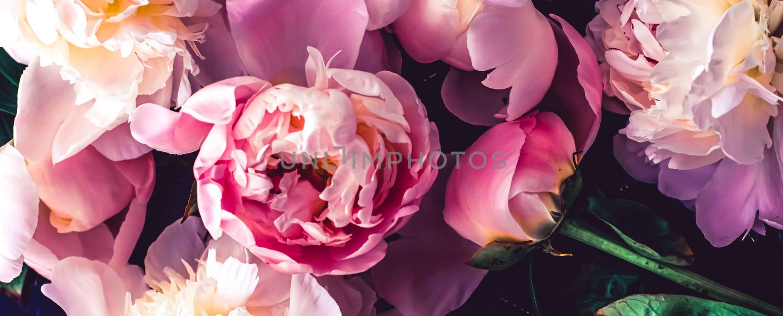 Pink peony flowers as floral art background, botanical flatlay and luxury branding by Anneleven