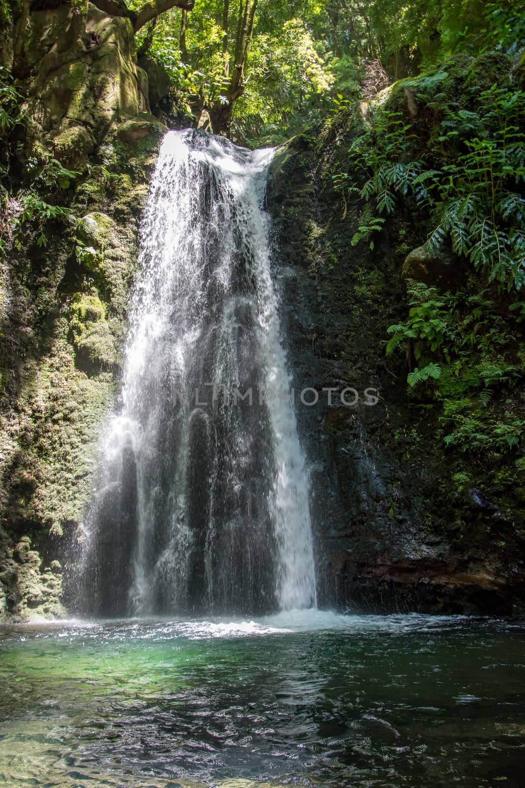 walk and discover the prego salto waterfall on the island of sao miguel, azores, Portugal.