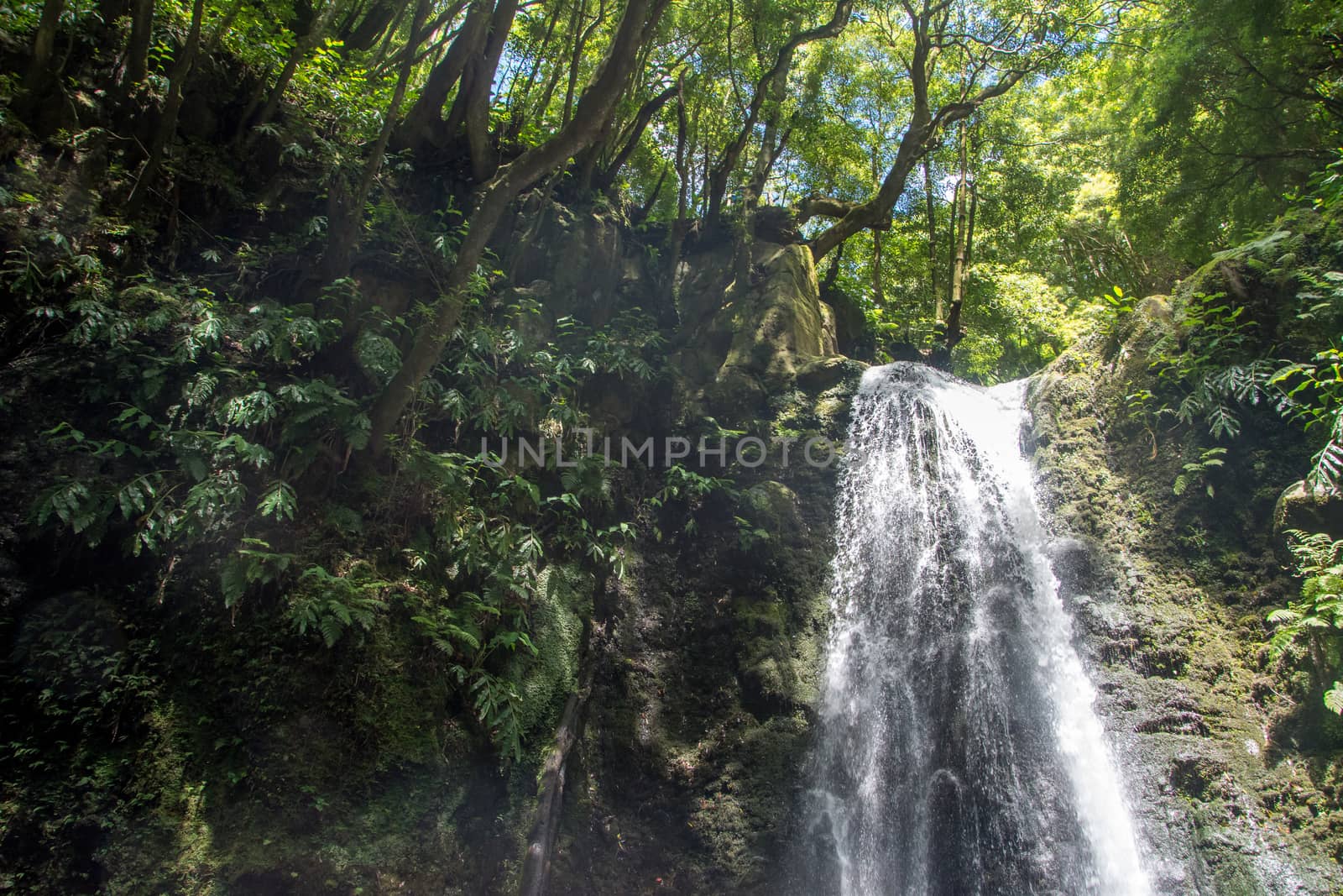walk and discover the prego salto waterfall on the island of sao miguel, azores, Portugal.