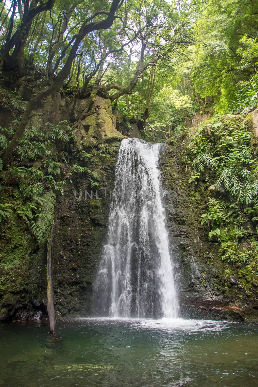 walk and discover the prego salto waterfall on the island of sao miguel, azores, Portugal.