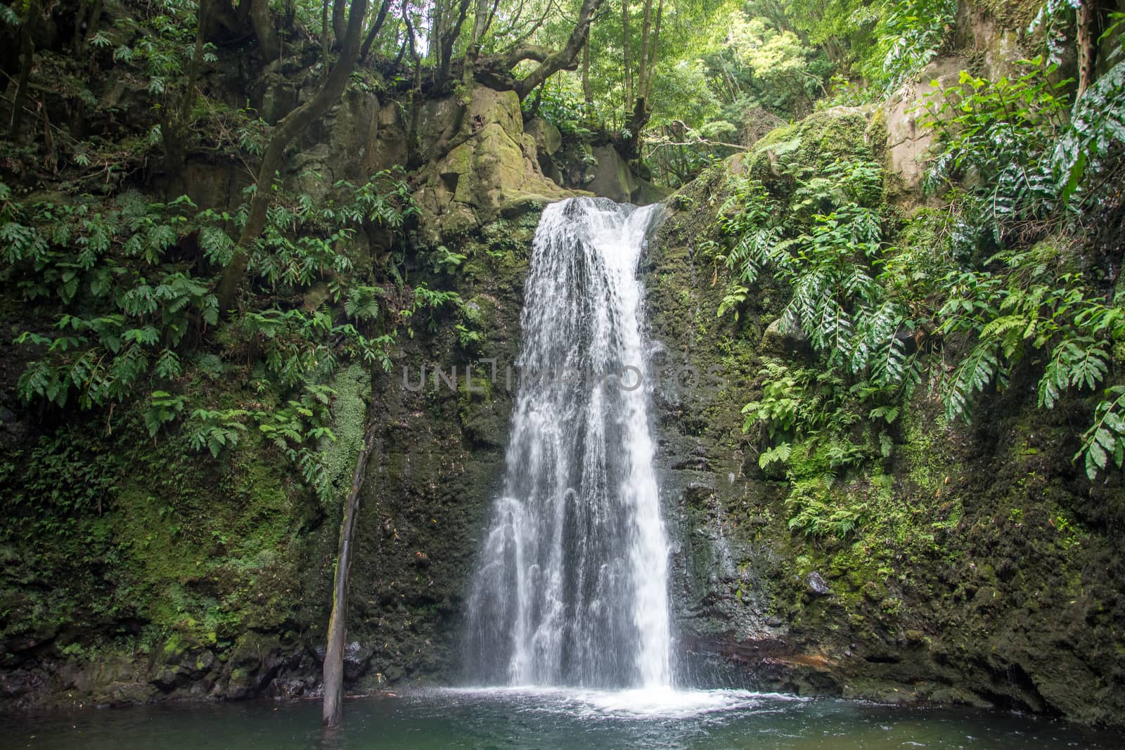 walk and discover the prego salto waterfall on the island of sao miguel, azores, Portugal.