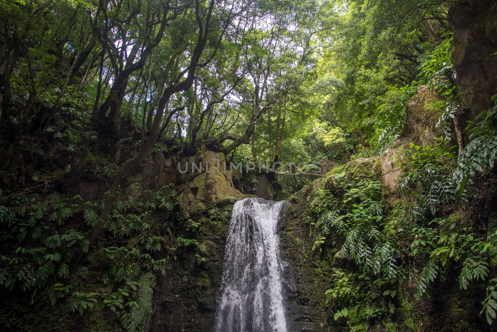 walk and discover the prego salto waterfall on the island of sao miguel, azores, Portugal.