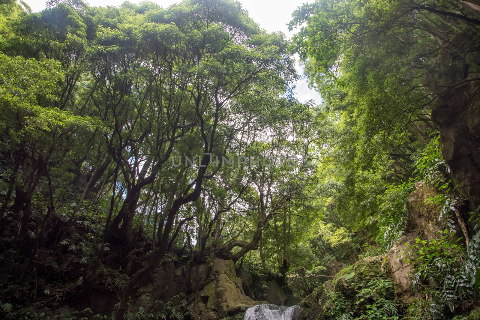 walk and discover the prego salto waterfall on the island of sao miguel, azores, Portugal.