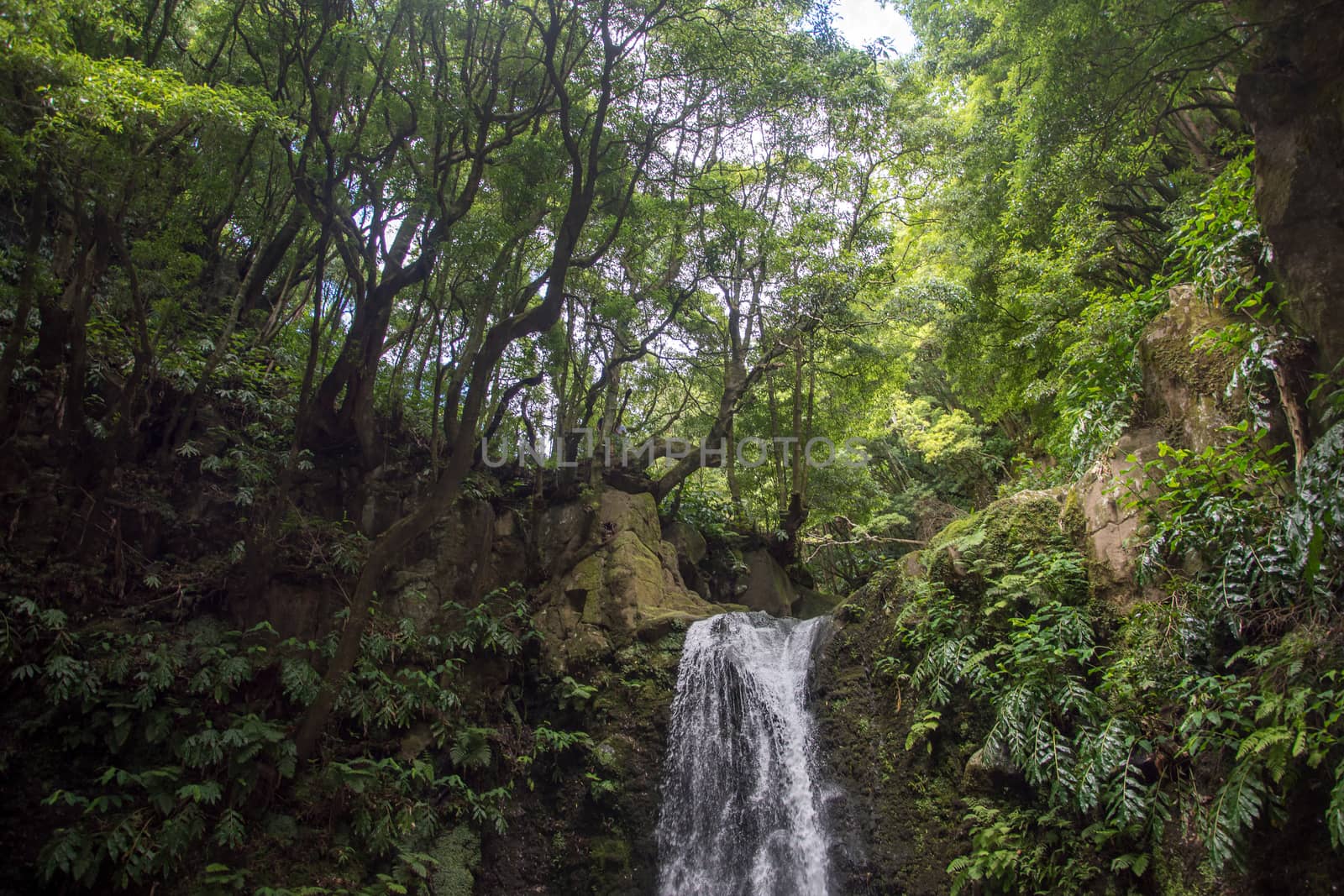 walk and discover the prego salto waterfall on the island of sao miguel, azores, Portugal.