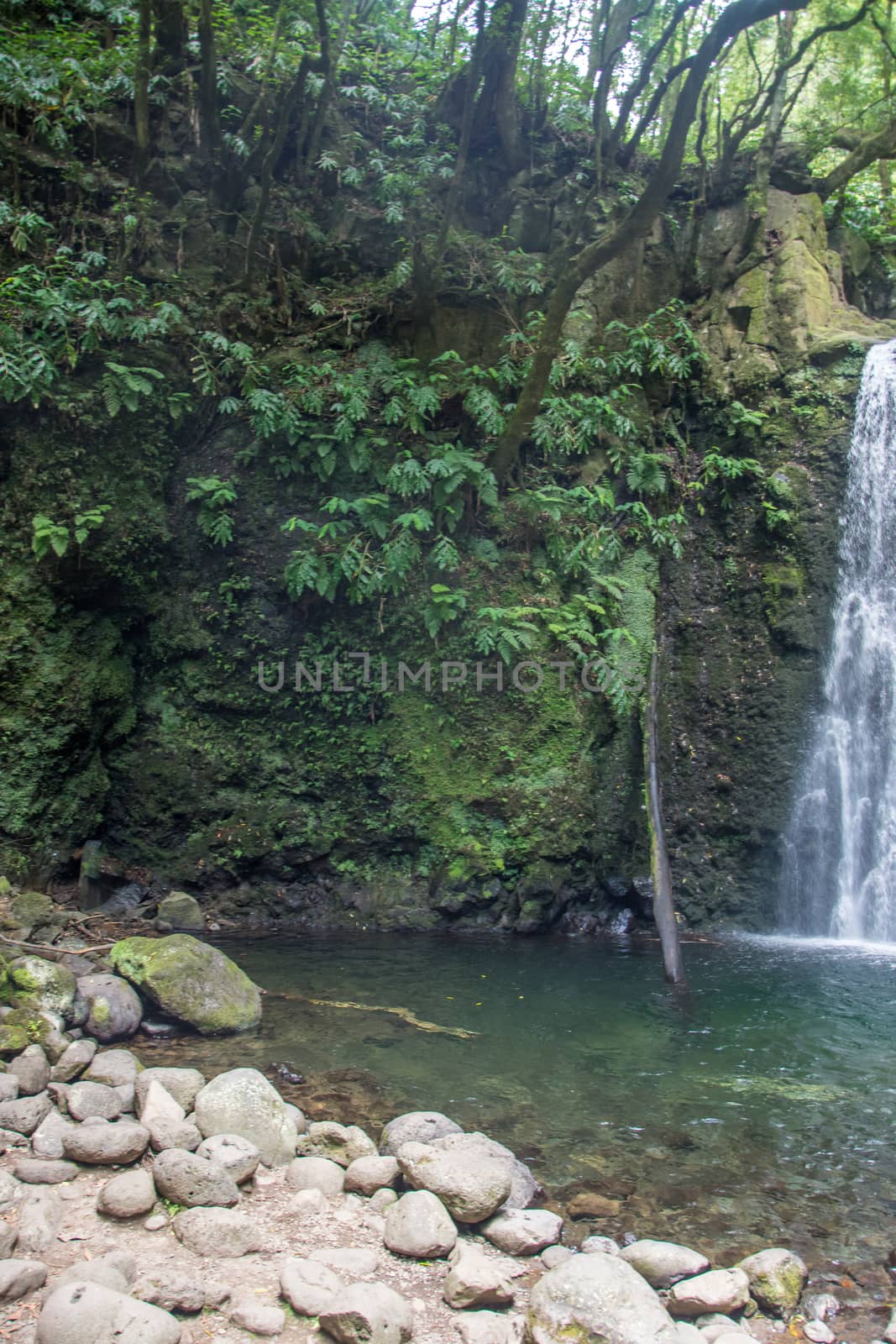 walk and discover the prego salto waterfall on the island of sao miguel, azores, Portugal.