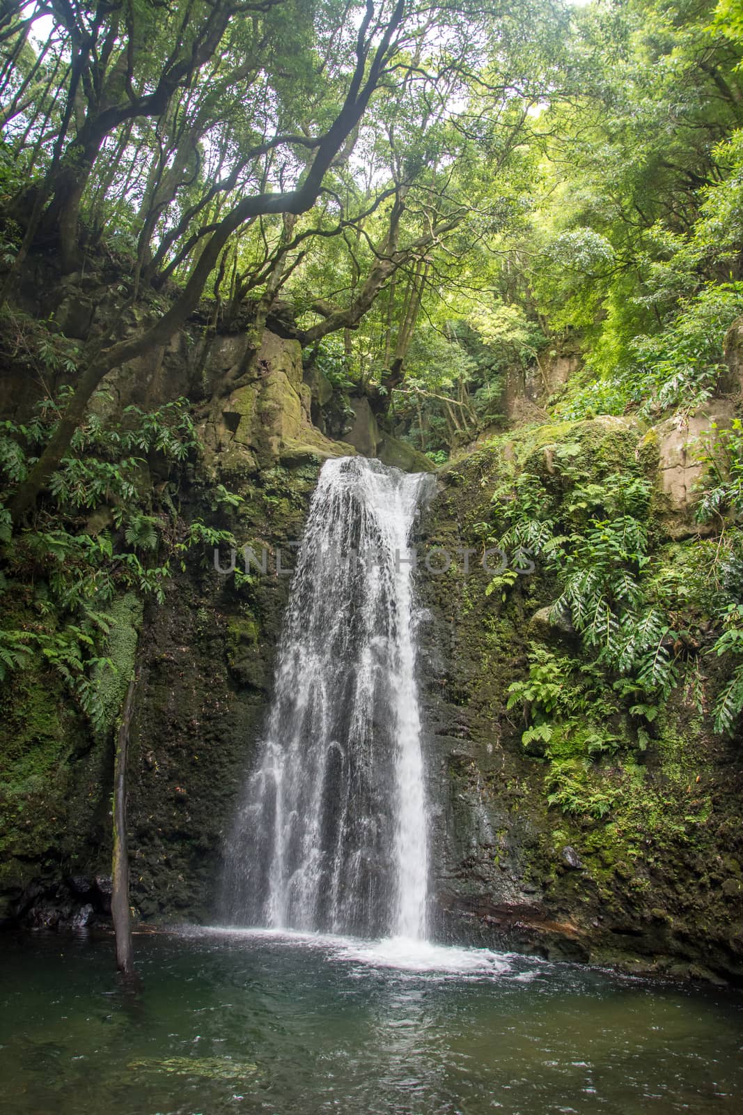 walk and discover the prego salto waterfall on the island of sao miguel, azores, Portugal.