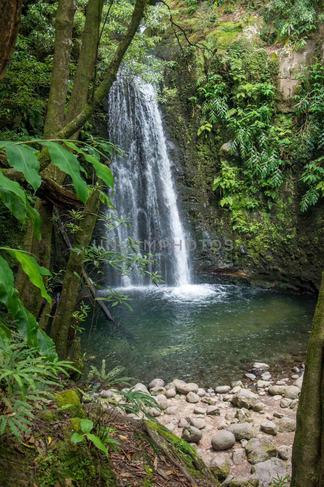 walk and discover the prego salto waterfall on the island of sao miguel, azores, Portugal.
