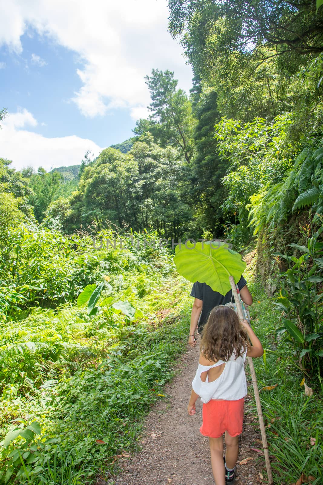 walk and discover the prego salto waterfall on the island of sao miguel, azores, Portugal.