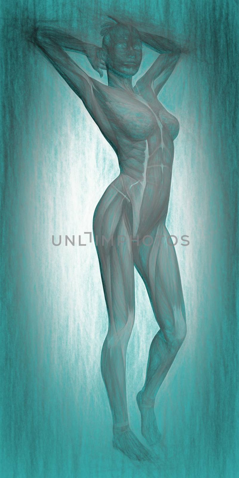3d illustration of human body anatomy
